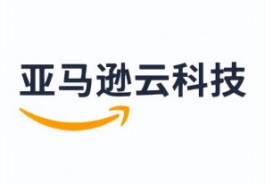 亚马逊云科技推出业内首个生成式AI合作伙伴能力认证