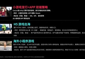 H5游戏及小游戏出海:机遇与挑战并存,如何把握当下的增量蓝海?